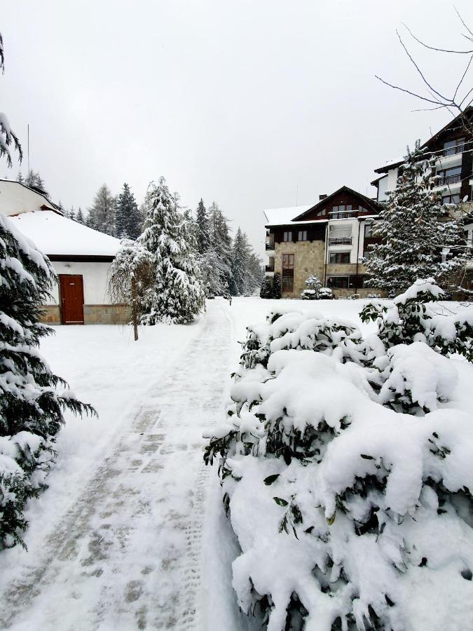 Pinewood Ang Apartment, Semiramida Borovets Hills Extérieur photo